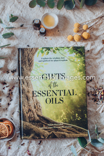 Gifts of the Essential Oils 2nd Edition - English - For Oils